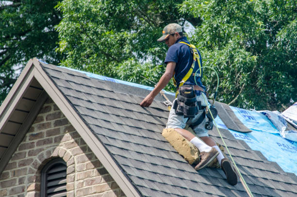 Best Local Roofing Companies  in Columbus, NE